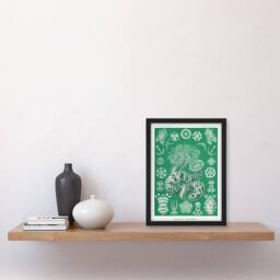 Artery8 Ernst Haeckel Adolf Giltsch Framed Wall Art Thuroidea Sea Cucumber in Green - Size: A4 - thumbnail 2