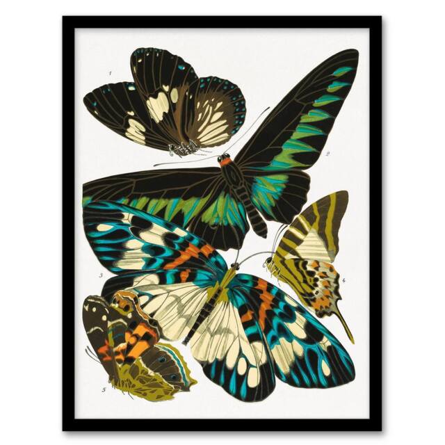 Artery8 Butterflies Green Blue Vintage Framed Wall Art Print Eugene Seguy - Size: A4 - image 1