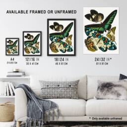 Artery8 Butterflies Green Blue Vintage Framed Wall Art Print Eugene Seguy - Size: A4 - thumbnail 3
