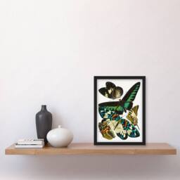 Artery8 Butterflies Green Blue Vintage Framed Wall Art Print Eugene Seguy - Size: A4 - thumbnail 4