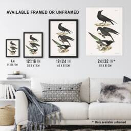 "Artery8 James Ellsworth De Kay Raven Crow & Magpie Wall Art Print in White - Size: W12"" x H16""" - thumbnail 3