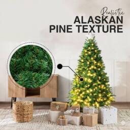 Pelle & Sol 7ft Pre-Lit Artificial Christmas Tree with 600 Vibrant LEDs in Green - thumbnail 5