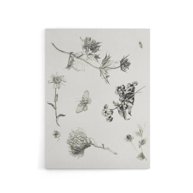 "Artery8 Flowers Leaves Butterfly Drawing Canvas Wall Art Print Hoytema in White - Size: W18"" x H24""" - image 1