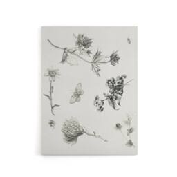 "Artery8 Flowers Leaves Butterfly Drawing Canvas Wall Art Print Hoytema in White - Size: W18"" x H24""" - thumbnail 1