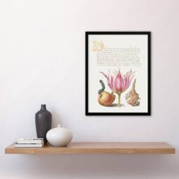 Artery8 Pear Pink Tulip & Seashell Calligraphy Framed Wall Art Print in White - Size: A4 - thumbnail 4