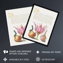 Artery8 Pear Pink Tulip & Seashell Calligraphy Framed Wall Art Print in White - Size: A4 - thumbnail 2