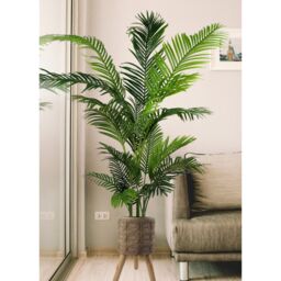Pegdev 40cm x 21.5cm Zandi Fibreglass Planter, Indoor or Outdoor Pot in Natural - Size: 40 cm x 21.5 cm - thumbnail 3