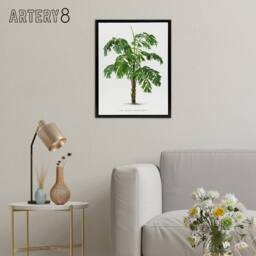 "Artery8 Martinezia Lindeniana Palm Tree Kerchove Framed Canvas Wall Art Print in White - Size: W12"" x H16""" - thumbnail 3