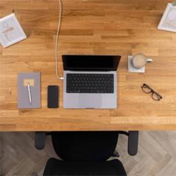 SPETLEK Premium European Wood Desk Top in Brown - Size: 0.6m2 - thumbnail 4