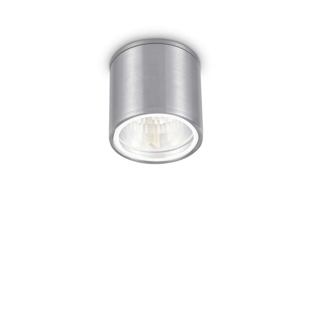 Netlighting Gun 1 Light Outdoor Surface Mounted Ceiling Downlights Aluminium Polished Chrome IP44 GU10 in Grey - image 1