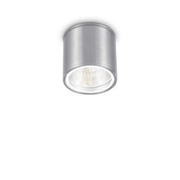 Netlighting Gun 1 Light Outdoor Surface Mounted Ceiling Downlights Aluminium Polished Chrome IP44 GU10 in Grey - thumbnail 1