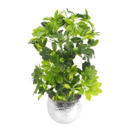 Leaf Artificial 75cm Arboricola Gold Capella Plant Silver Planter in Green