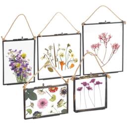Nicola Spring 5pc Hanging Metal Photo Frames Gallery Set - Black - Picture Frame Wall Mounted Frame with Rope - thumbnail 1