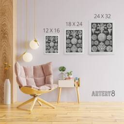 "Artery8 Hexacorallia Marine Life Illustration Haeckel Canvas Wall Art Print in Black - Size: W12"" x H16""" - thumbnail 4