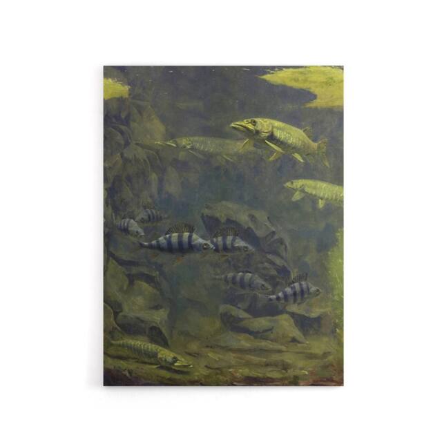 "Artery8 Pike & Perch Aquarium Canvas Wall Art Print Gerrit Dijsselhof in Green - Size: W24"" x H32""" - image 1