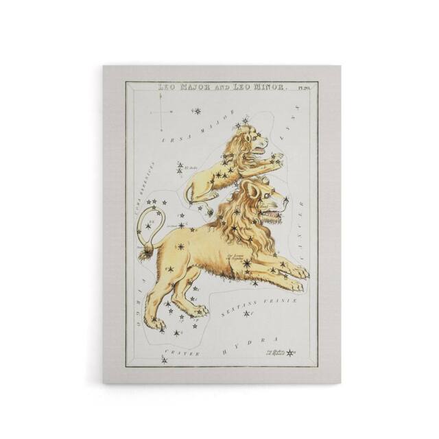 "Artery8 Vintage Leo Constellation Illustration Hall Canvas Wall Art Print in White - Size: W12"" x H16""" - image 1