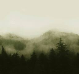 Superfresco Easy Misty Landscape Green Print To Order 3m x 2.8m Mural - thumbnail 2