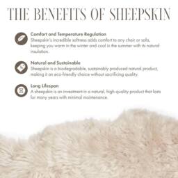 Infinity Leather Natural Sheepskin Real Wool Cushion in Beige - Size: 40 cm x 40 cm - thumbnail 6