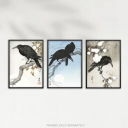 Artery8 Set of 3 Ohara Koson Crows Black White Blue Japanese Art Prints - Size: A3 - thumbnail 5