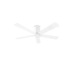 Netlighting Rodas Ceiling Fan White Special Offer