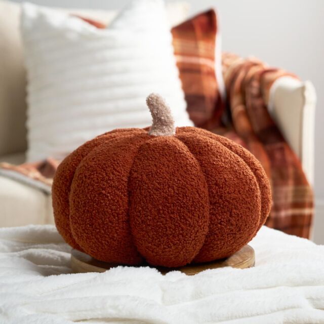 OHS Pumpkin Sofa Cushion Soft Fleece Filled Autumn Plush Home Decor Plump in Burnt Orange - image 1