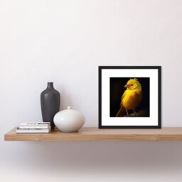 Artery8 Yellow Canary on Black Oil Painting Portrait Plump Songbird Square Wooden Framed Wall Art Print Picture 8X8 Inch - thumbnail 2