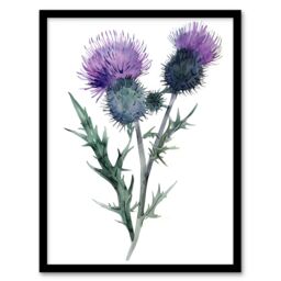 Artery8 Two Scottish Thistle Flower Blooms Watercolour Framed Art Print in Purple - Size: A4 - thumbnail 1