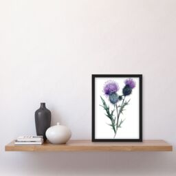 Artery8 Two Scottish Thistle Flower Blooms Watercolour Framed Art Print in Purple - Size: A4 - thumbnail 4