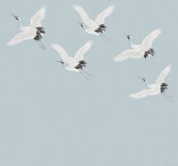 Superfresco Easy Cranes in Flight Pale Blue Print To Order 3m x 2.8m Mural - thumbnail 2