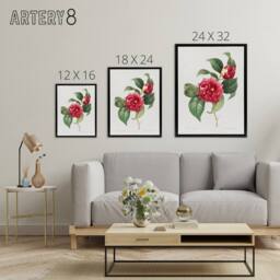 "Artery8 Camelia Floral Illustration Redoute Black Framed Canvas Wall Art in White - Size: W12"" x H16""" - thumbnail 4