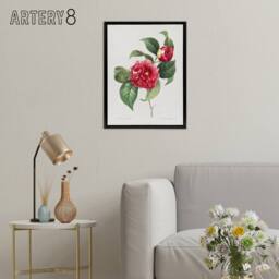 "Artery8 Camelia Floral Illustration Redoute Black Framed Canvas Wall Art in White - Size: W12"" x H16""" - thumbnail 3