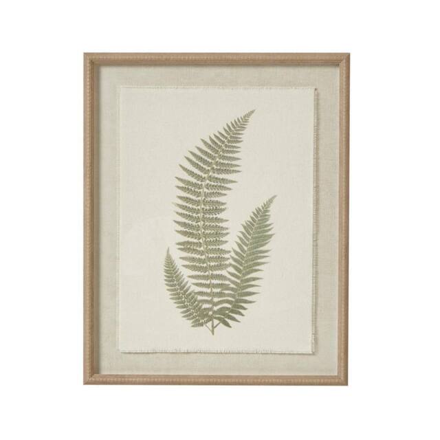 Hill Interiors Textured Fern Texture Torn Paper Framed Art Print in White - image 1