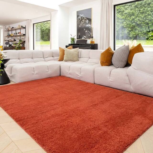 Kukoon Terracotta Machine Washable Wash Soft Shaggy Area Rug - Size: 120 cm x 170 cm - image 1