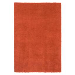 Kukoon Terracotta Machine Washable Wash Soft Shaggy Area Rug - Size: 120 cm x 170 cm - thumbnail 4