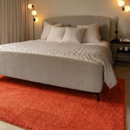 Kukoon Terracotta Machine Washable Wash Soft Shaggy Area Rug - Size: 120 cm x 170 cm - thumbnail 2