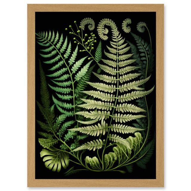 Artery8 Ernst Haeckel Style Fern Fronds Illustration Artwork Framed Wall Art Print A4 in Light Oak - image 1