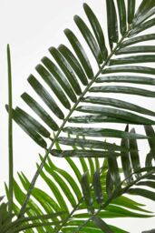 Homescapes Green Mini Palm Tree Artificial Plant with Pot, 100 cm - thumbnail 4