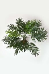 Homescapes Green Mini Palm Tree Artificial Plant with Pot, 100 cm - thumbnail 2