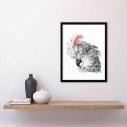 Artery8 Aert Schouman Framed Wall Art Print Cockatoo Parrot Head Watercolour in White - Size: A4 - thumbnail 2
