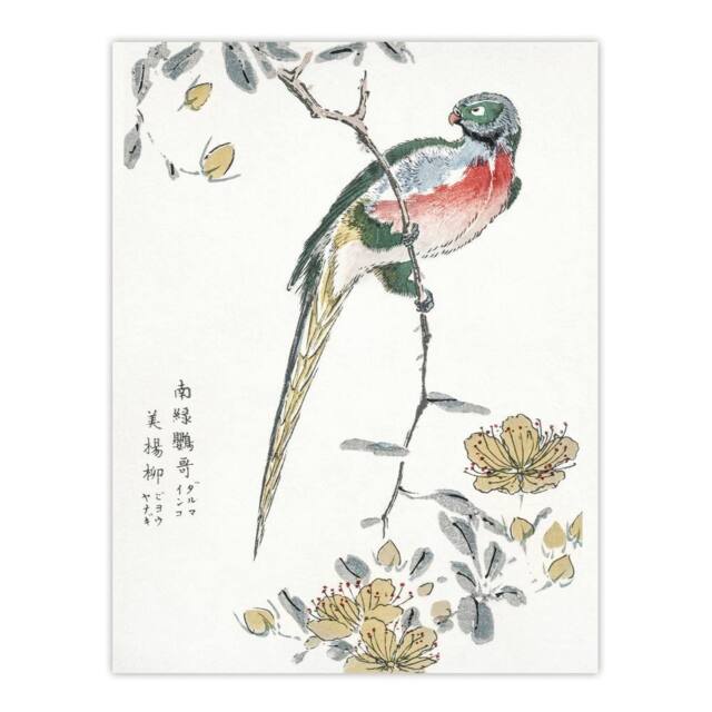 "Artery8 Macaw Parrot & Peach Flowers Japan Wall Art Print Numata Kashu - Size: W12"" x H16""" - image 1