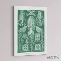 "Artery8 Cubomedusae Jellyfish Species Haeckel Botanical Canvas Wall Art in Green - Size: W18"" x H24""" - thumbnail 2