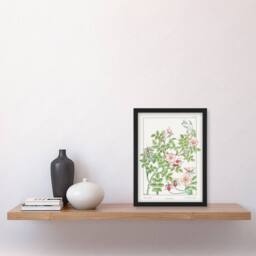Artery8 Maurice Pillard Verneuil Framed Wall Art Print Wild Rose Flower in White - Size: A4 - thumbnail 2