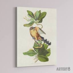 "Artery8 Mangrove Cuckoo Apple Flower Audubon Nature Canvas Wall Art in White - Size: W18"" x H24""" - thumbnail 2