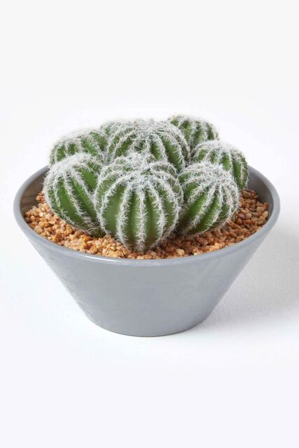 Homescapes Artificial Barrel Cactus Arrangement in Round Grey Pot, 17 cm Tall in Green - image 1