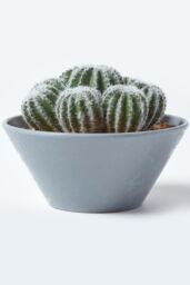 Homescapes Artificial Barrel Cactus Arrangement in Round Grey Pot, 17 cm Tall in Green - thumbnail 4