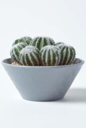 Homescapes Artificial Barrel Cactus Arrangement in Round Grey Pot, 17 cm Tall in Green - thumbnail 6