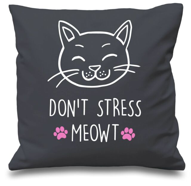 "60 SECOND MAKEOVER Grey Cushion Cover Cat Don't Stress Meowt 16"" x 16"" Mum Friend Gift Decorative - Size: 40 cm x 40 cm"