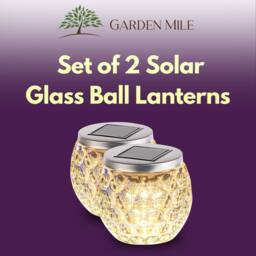 Marco Paul 2 Pack Warm White Dimpled Jar LED Solar Garden Lights in Clear - thumbnail 4