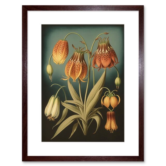 Artery8 Wall Art Print Fritillaria Flower Plant Ernst Haeckel Inspired Plant Study Modern Watercolour Painting Artwork Framed 9X7 Inch - image 1