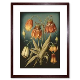 Artery8 Wall Art Print Fritillaria Flower Plant Ernst Haeckel Inspired Plant Study Modern Watercolour Painting Artwork Framed 9X7 Inch - thumbnail 1